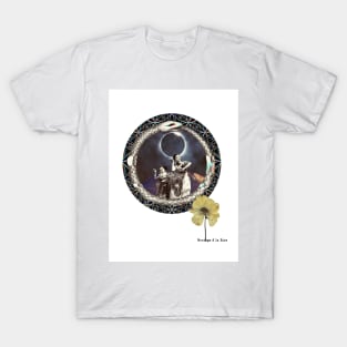 Lunar eclipse... T-Shirt